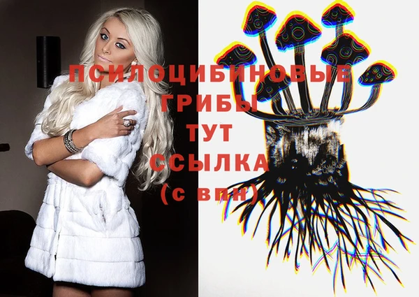 mdpv Арсеньев